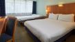 Holiday Inn Bloomsbury - Chambre standard avec canap�-lit